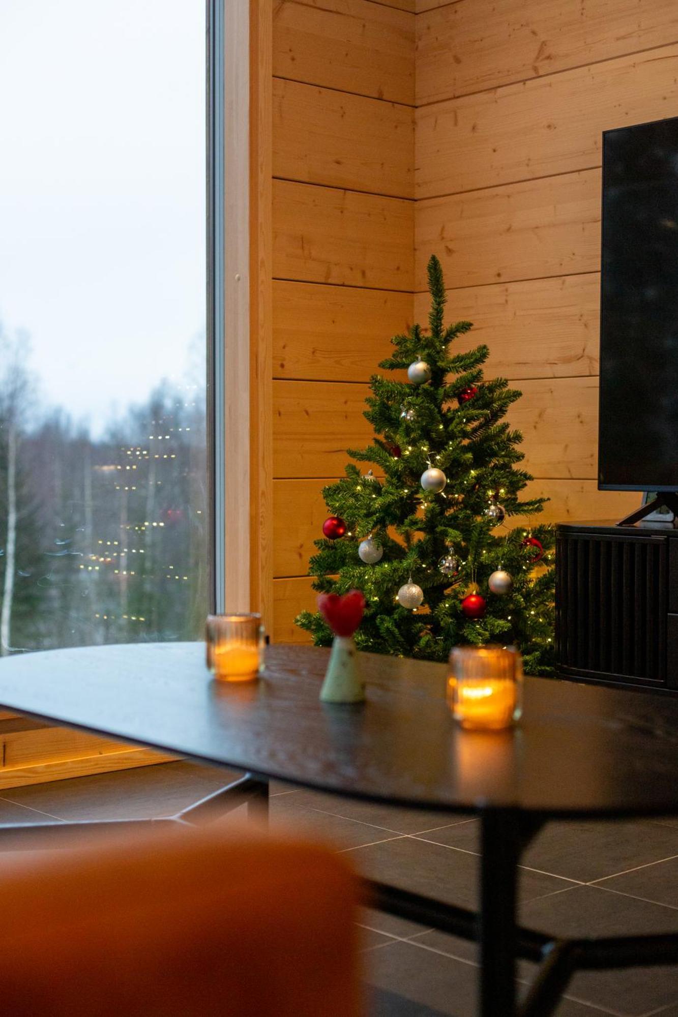 Kajo Sky Lodge 로바니에미 외부 사진